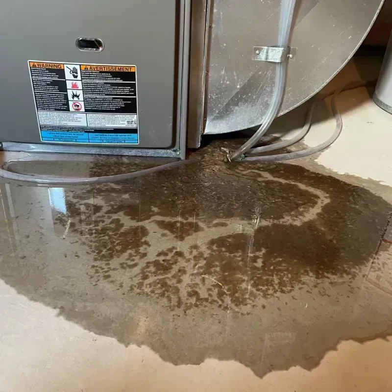 Appliance Leak Cleanup in Holden, MO